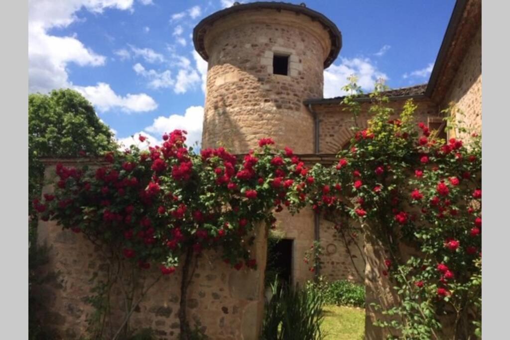 Domaine De La Durantie Duplex Vieux Chateau Castelnau-de-Montmiral Buitenkant foto